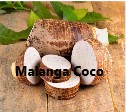 Malanga Coco